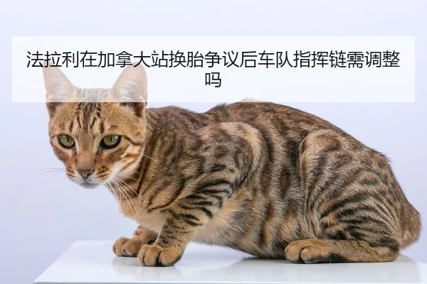fa-la-li-zai-jia-na-da-zhan-huan-tai-zheng-yi-hou-che-dui-zhi-hui-lian-xu-tiao-zheng-ma-2-162.jpg