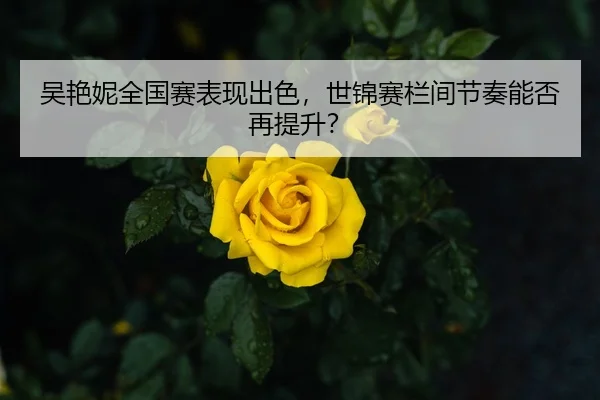吴艳妮全国赛表现出色，世锦赛栏间节奏能否再提升？