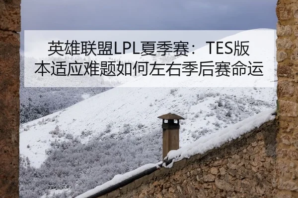 英雄联盟LPL夏季赛：TES版本适应难题如何左右季后赛命运